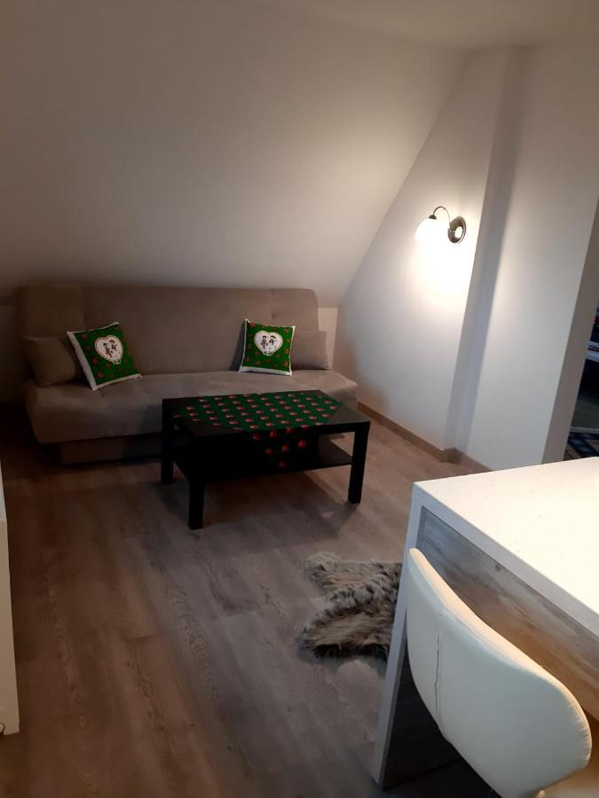 Apartamenty Z Widokiem Zakopane Exterior photo